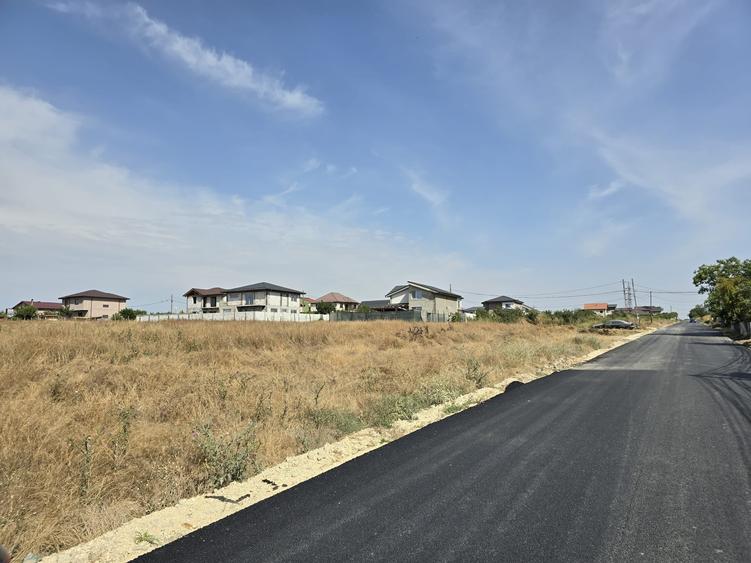 Teren Construcții intravilan de 8000 mp, în Lazu