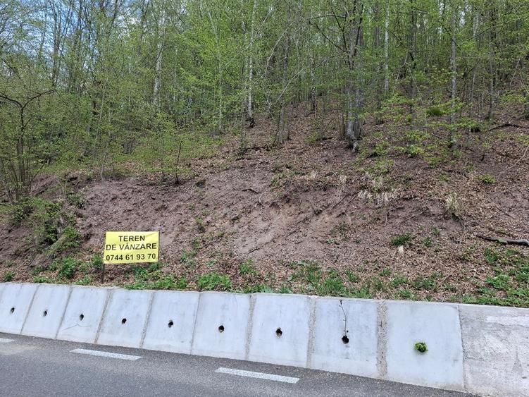 Teren agricol extravilan de 7548 mp, în Măcărești