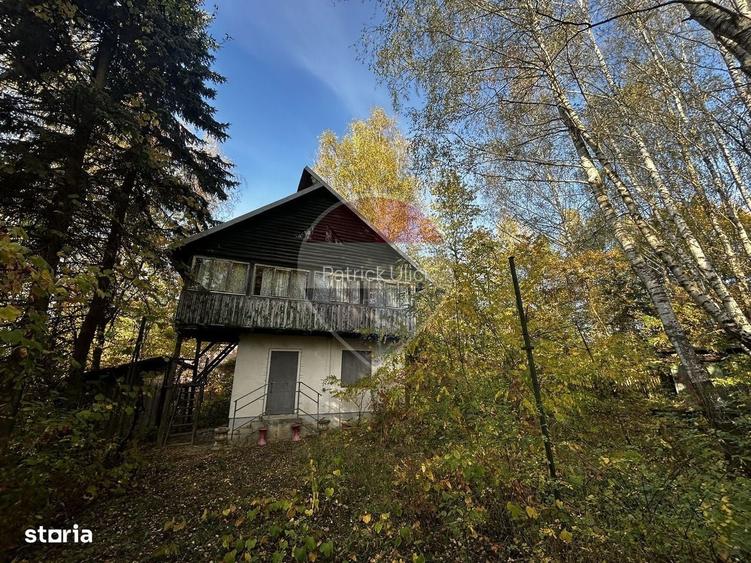 Teren de 900 mp cu cabana rustica, intr-o zona linistita