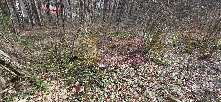 Teren Construcții intravilan de 338 mp, în Sud-Vest