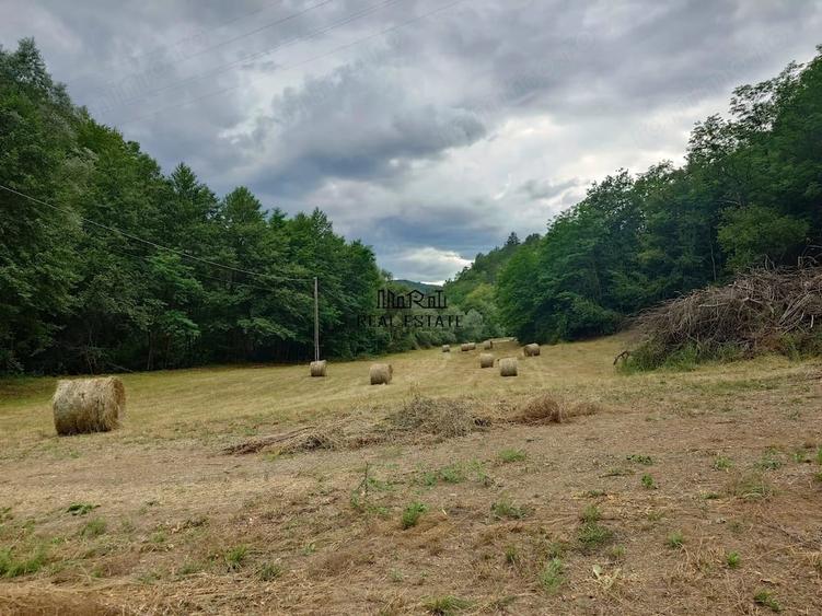 Teren de 5800 mp, în Podele
