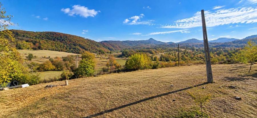 Casă cu 2 camere în Dumbrăvița