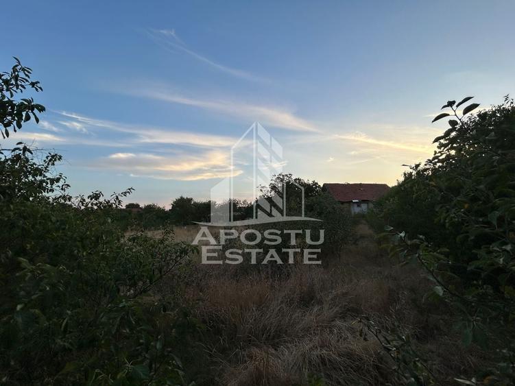 Teren Construcții intravilan de 648 mp, în Braytim