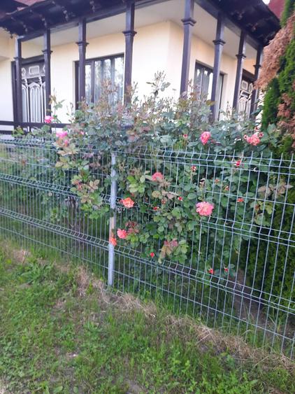 Casa in com Brebu - zona pitoreasca cu aer curat in PH, la 100km de Bucuresti - 1