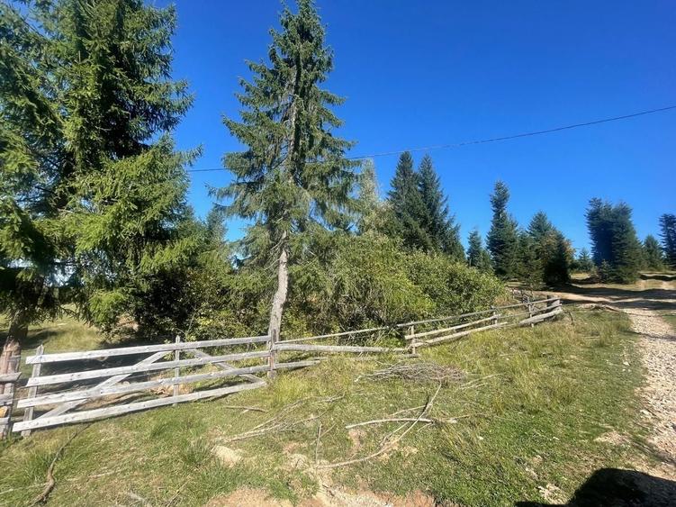 Teren Construcții intravilan de 1500 mp, în Dealu Negru