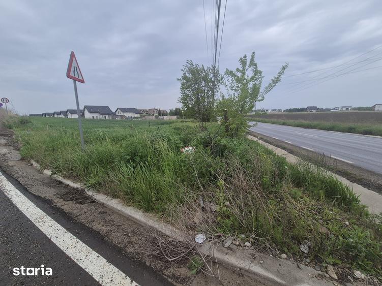 Teren de 1300 mp, în Moara