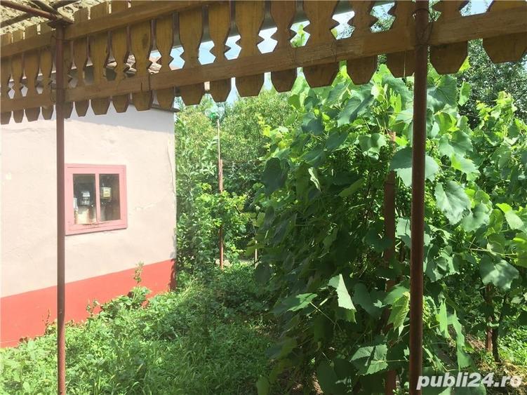 Casă cu 3 camere cu Teren 2538 Mp în Salonta