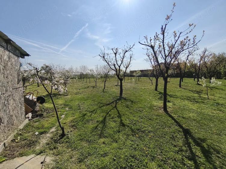 Casă cu 3 camere cu Teren 1500 Mp în Beregsău Mare