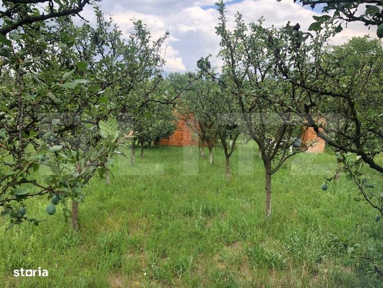 Teren de vanzare cu cabana si livada zona Viile Satu Mare - 2