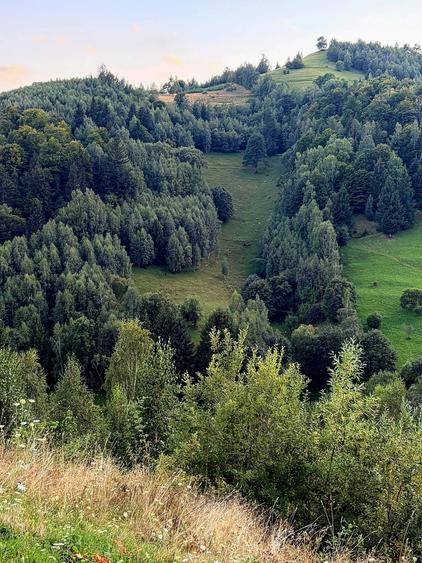 Teren agricol extravilan de 8635 mp, în Peștera