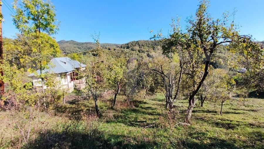 Teren cu priveliște superba , livadă și potențial căsuțe de vacanță - 16