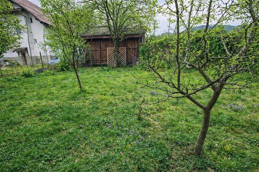 Casa cu 850 mp gradina, Centrul Istoric - Schei, Brasov - 3