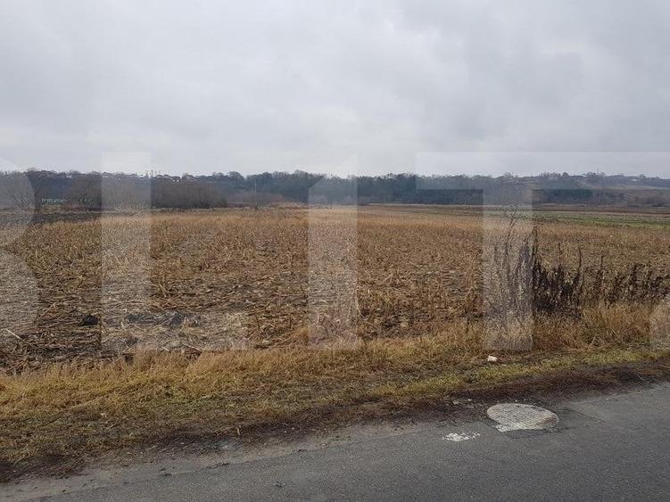 Teren Construcții intravilan de 4000 mp, în Jucu