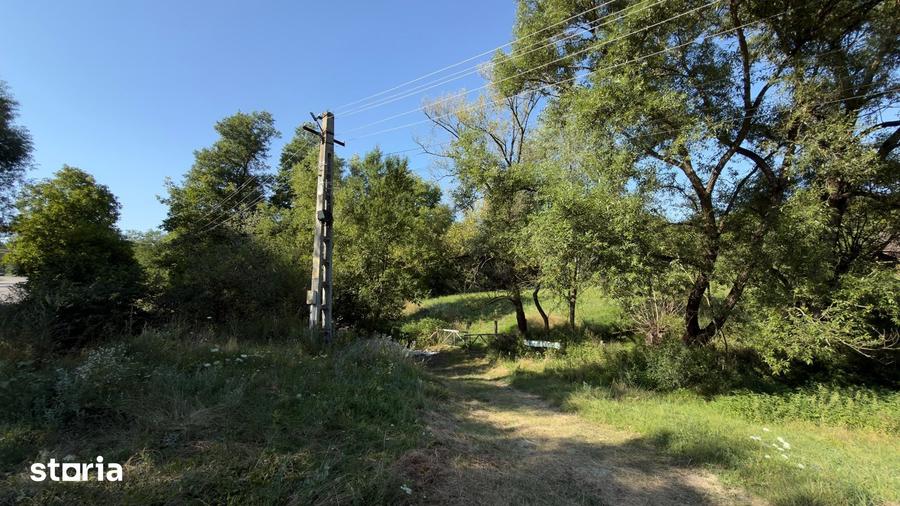 Teren Parau | Valea Danului, Curtea de Arges | Vidraru | - 6