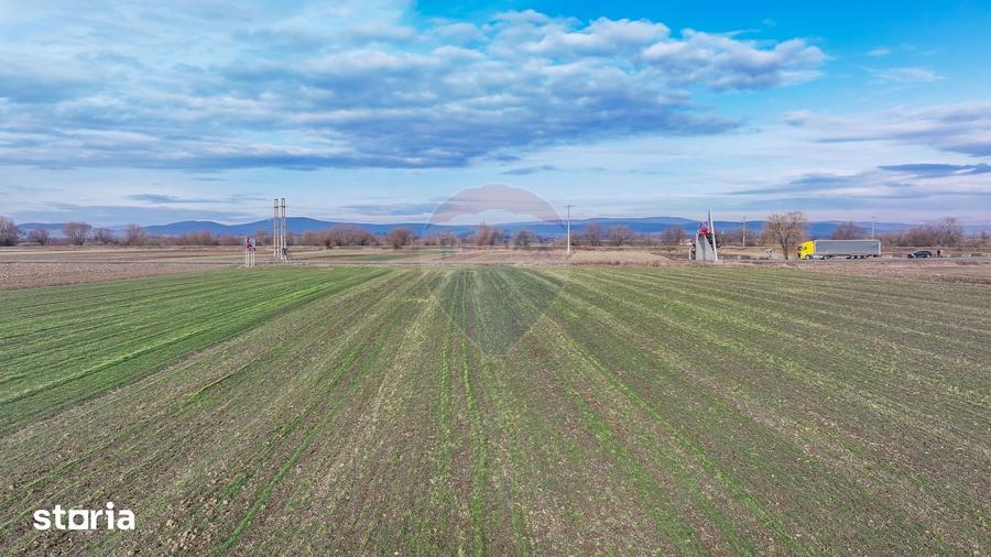 Teren de 5300 mp, în Prejmer