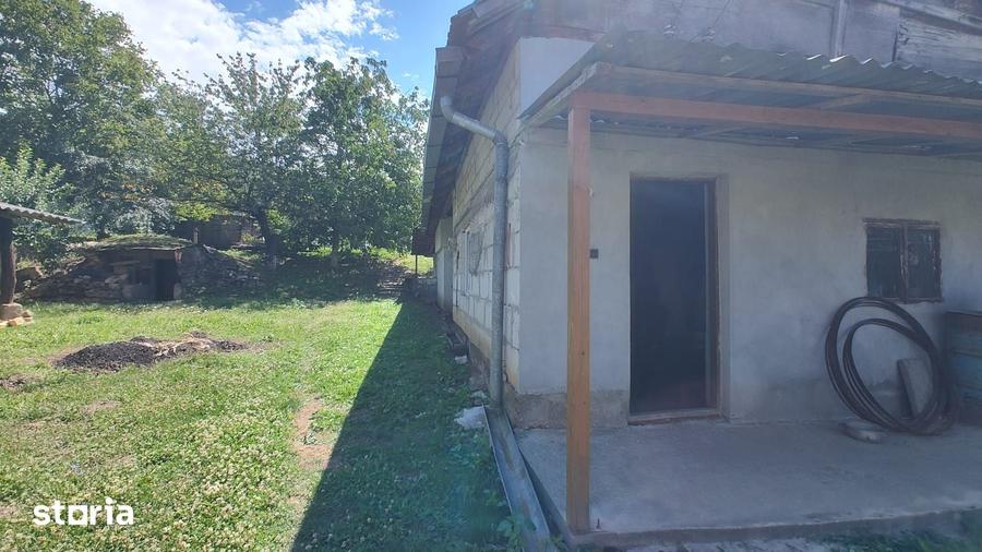 De vanzare casa in satul Carpinis - 16