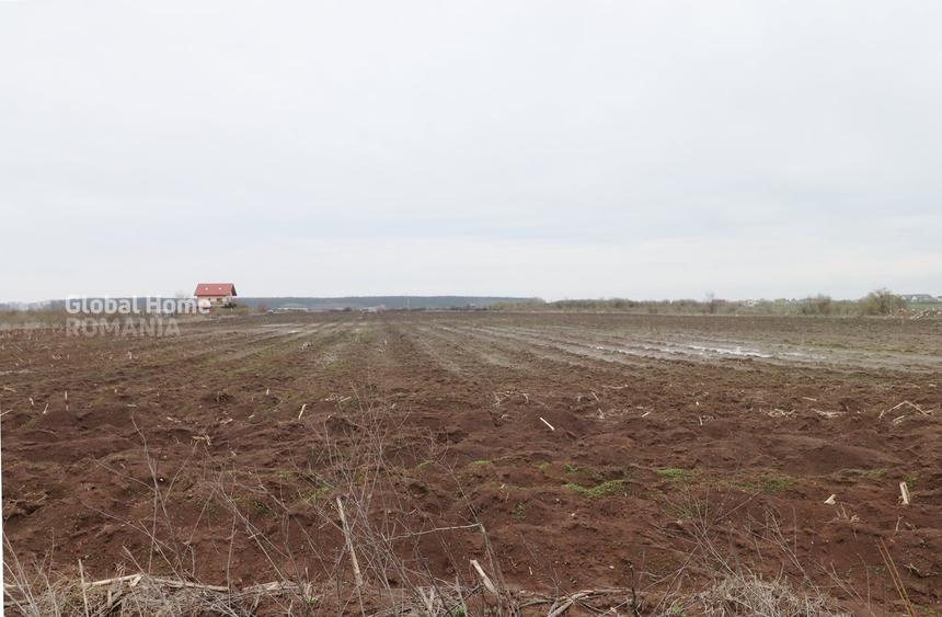 Teren agricol extravilan de 4000 mp, în Corbeanca