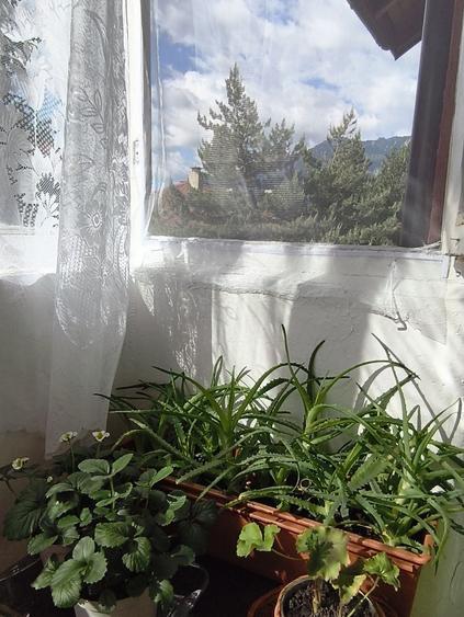 Apartament Circular Luminos Vedere Panoramica Bucegi & Baiului, Parc Privat, Acte Gata! - 7