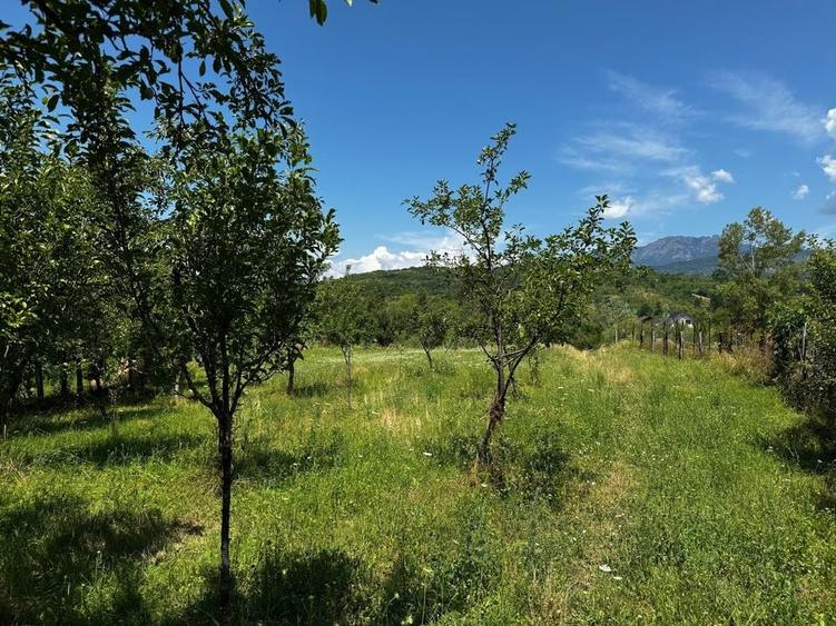 Teren de 935 mp, în Sălătrucel