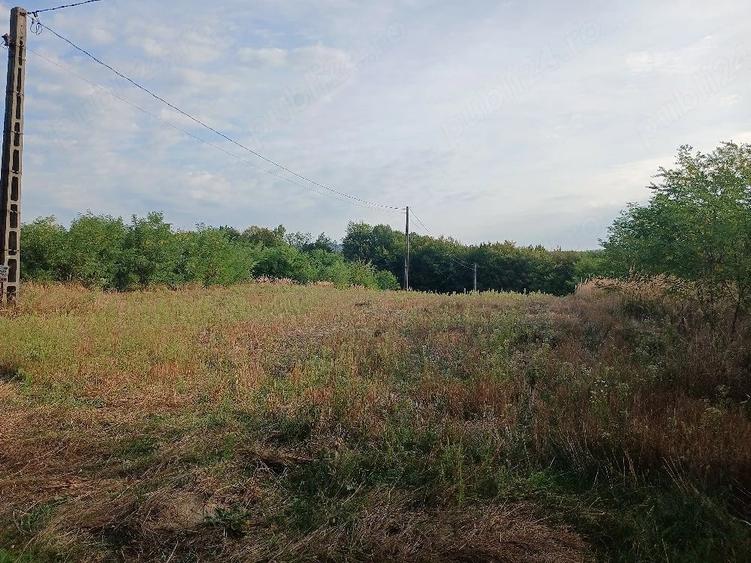 Teren de 6000 mp, în Budești
