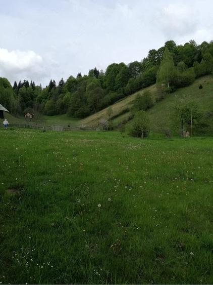 Teren de 3860 mp, în Podu Dâmboviței