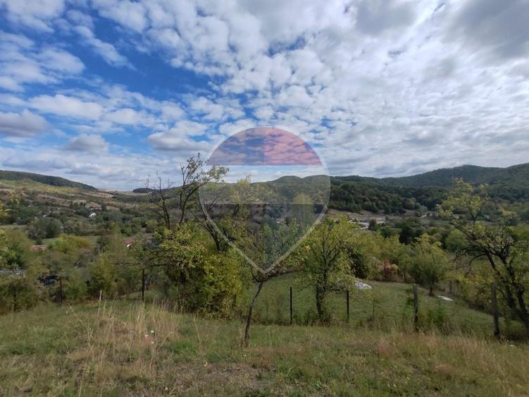 Teren Construcții intravilan de 5474 mp, în Provița de Jos