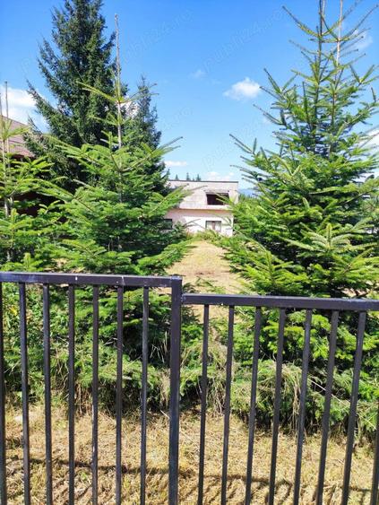 Teren de 800 mp, în Beliș