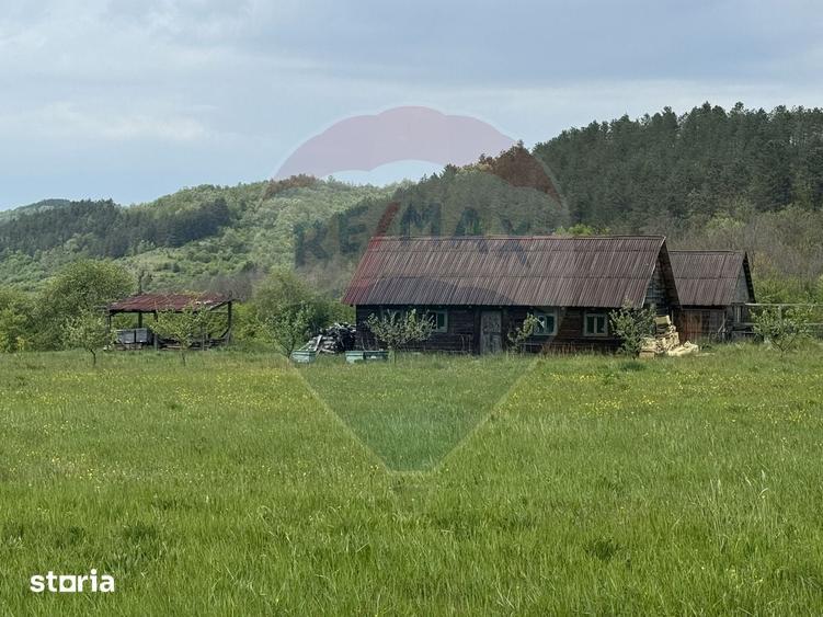 Proprietate OFF-GRID 5,76 Ha. Casa tradi?ionala lemn. Limita Cluj - 13