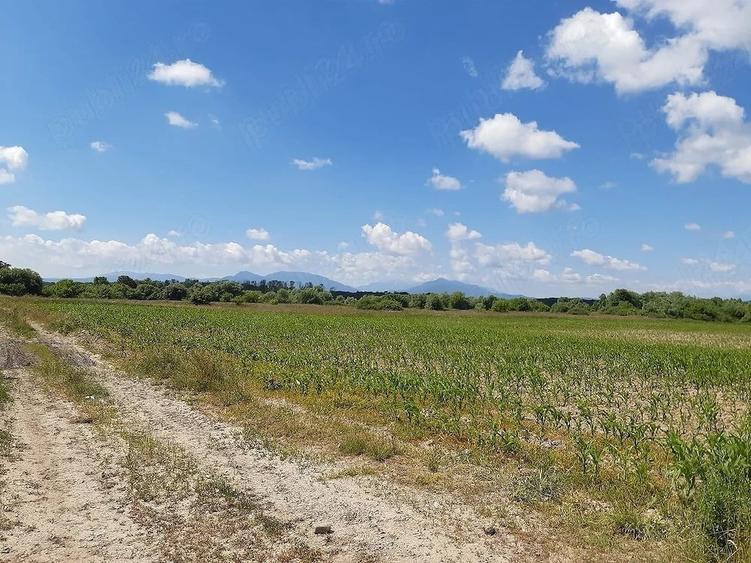 Teren de 20300 mp, în Lunca Calnicului