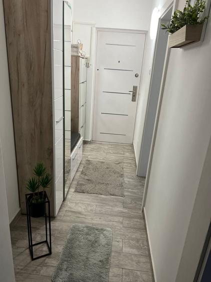 Apartament cu 2 camere semidecomandat în Micălaca