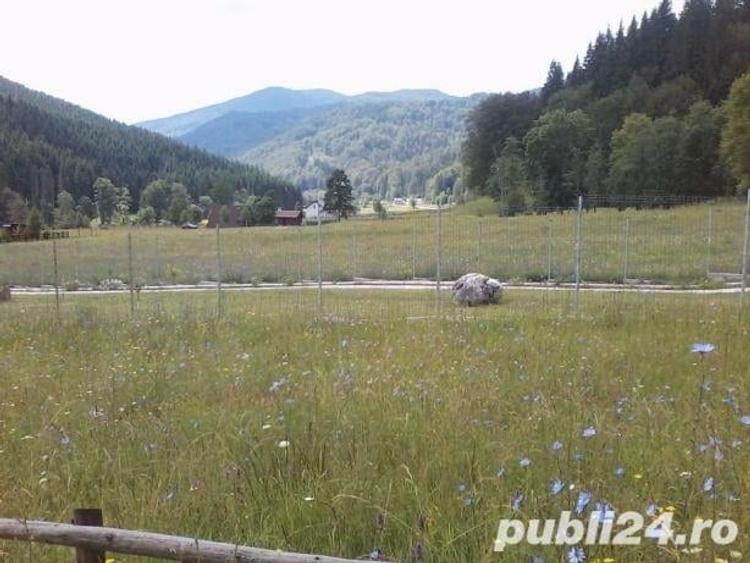 Teren de 1000 mp, în Cheia