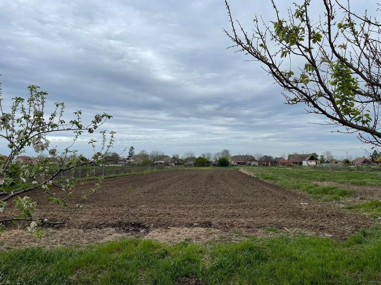 Casă individuală cu 2 camere cu Canalizare în Tomnatic