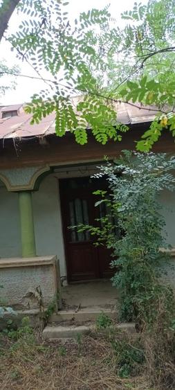 Teren Construcții intravilan de 3650 mp, în Poeni