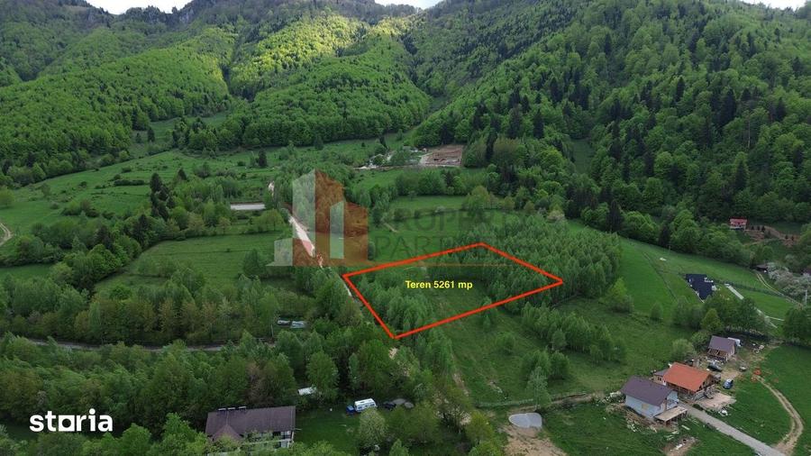 Teren de 5261 mp, în Tohănița