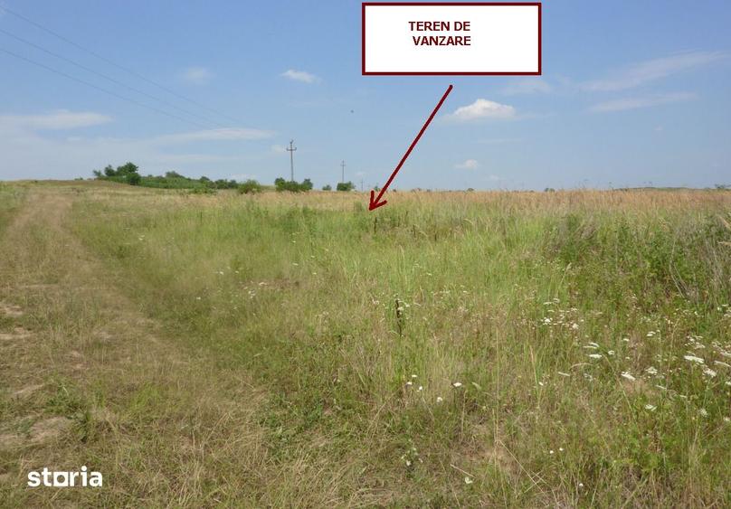 Teren de 11600 mp, în Cetariu