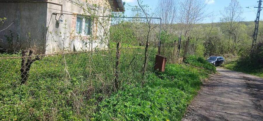 Casă cu Teren 8000 Mp în Mădăraș