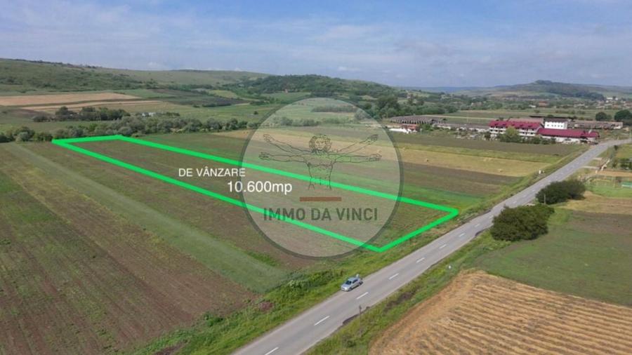 Teren de 10670 mp, în Borșa