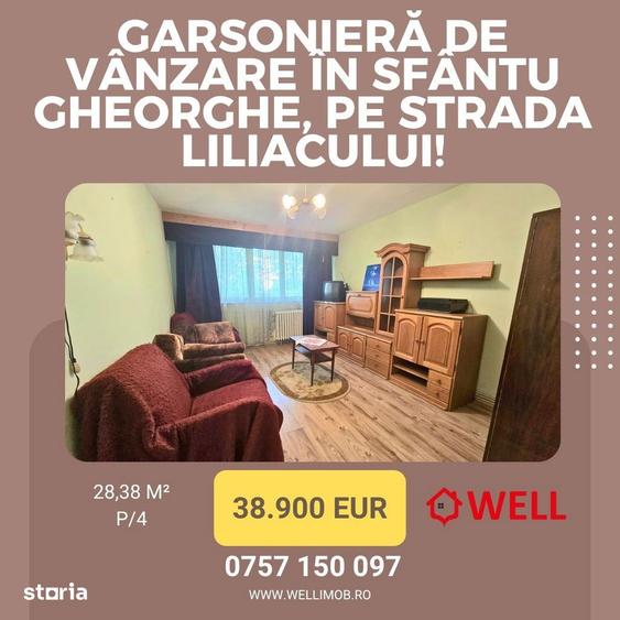 Garsoniera de vanzare in Sfantu Gheorghe, pe strada Liliacului! - 9