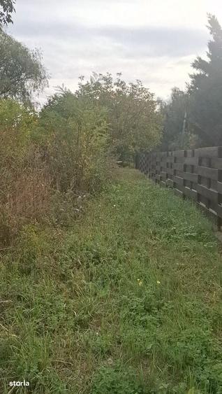 Teren in suprafata de 320 m2 BUCIUM CASA BOIEREASCA - 1