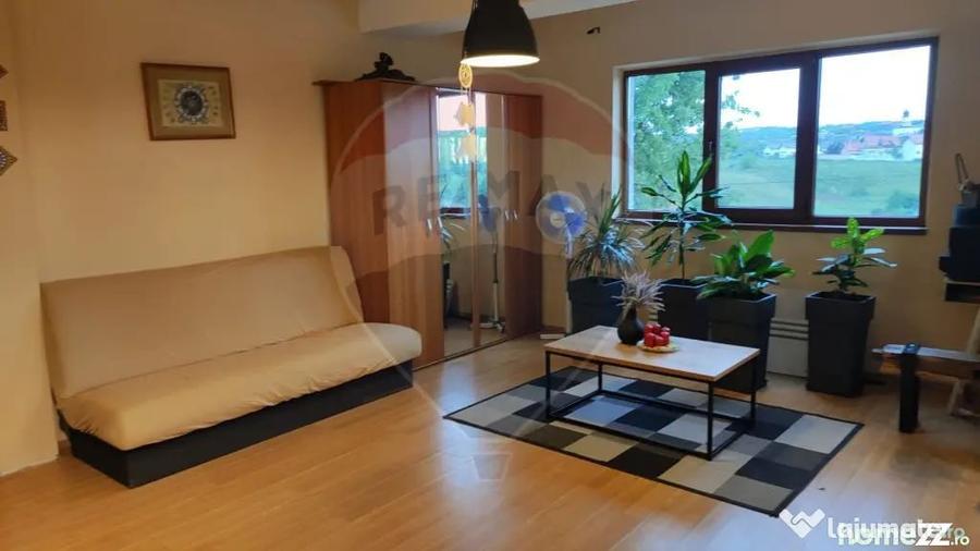 Apartament cu 2 camere decomandat în Paleu