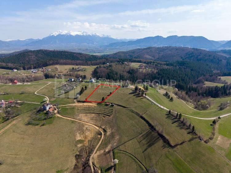 Teren Construcții intravilan de 3791 mp, în Poiana Mărului