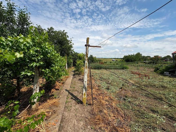 Vand casa din caramida, la strada principala, in Sannicolau Mare - 5