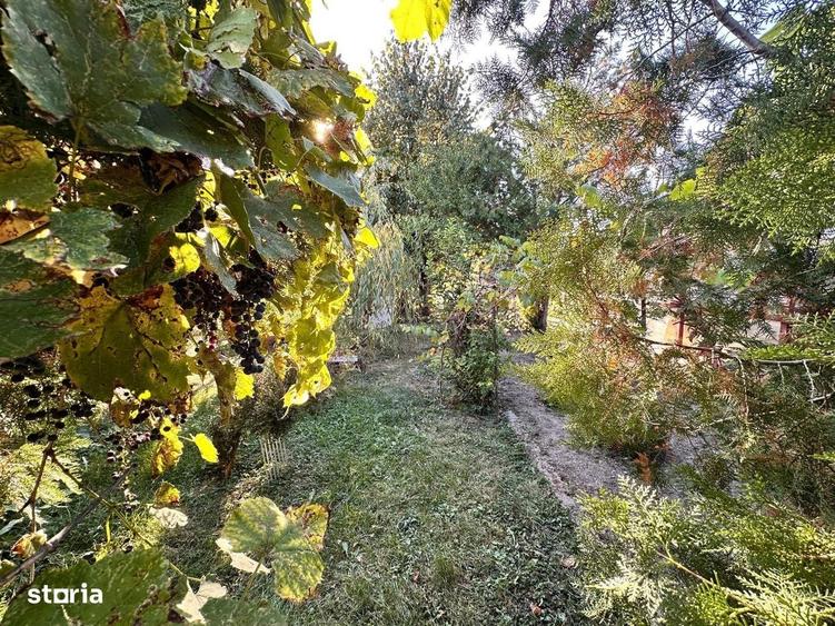 Casă cu 3 camere în Colțu de Jos