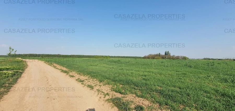 Teren agricol intravilan de 20000 mp, în Răcari