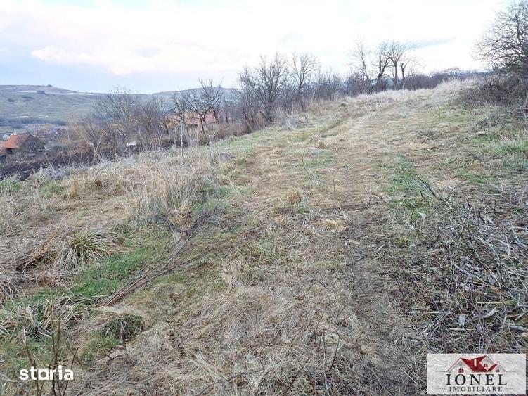 Teren de 1125 mp, în Berghin