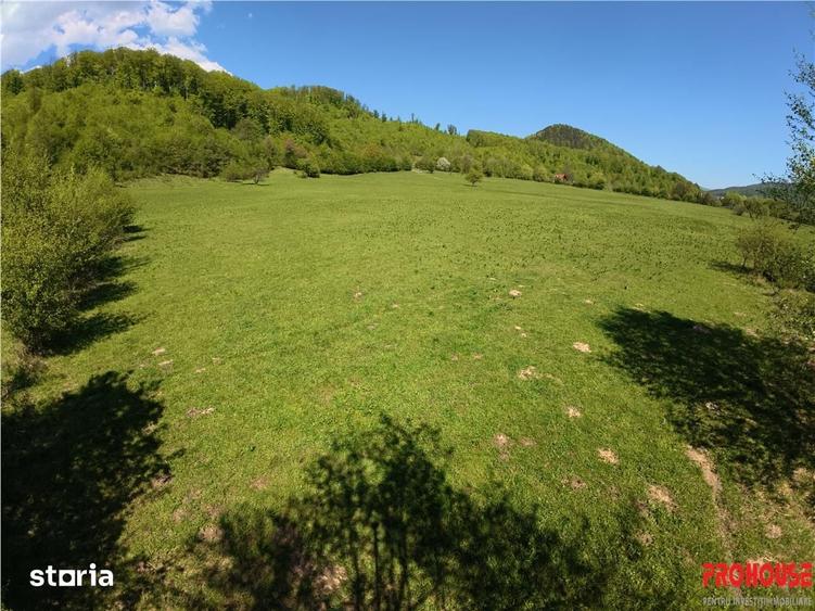Teren de 5370 mp, în Oituz