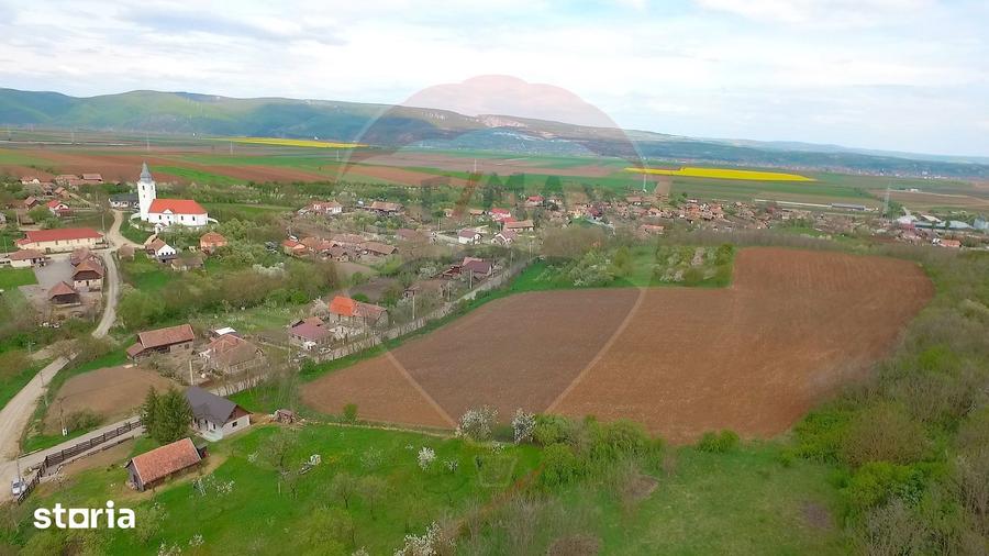 Teren de 34425 mp, în Moldovenești