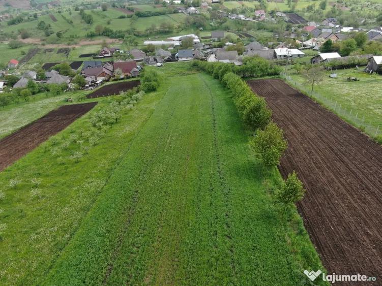 Teren de 5000 mp, în Valea Arini