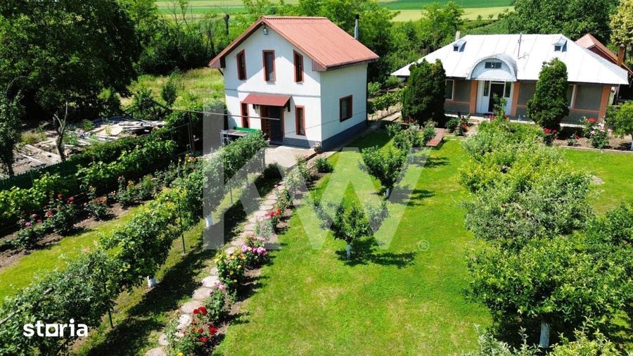 Casă cu 5 camere cu Teren 7800 Mp în Murgeni