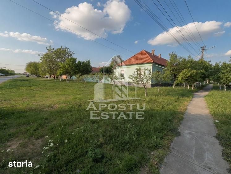 Casă cu 5 camere cu Teren 1450 Mp în Central